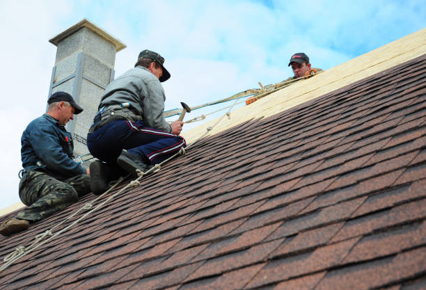 Best Gutter Installation and Roofing  in Wildewood, MD